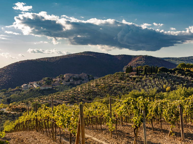 Poggio di Sotto, Montalcino, Italy