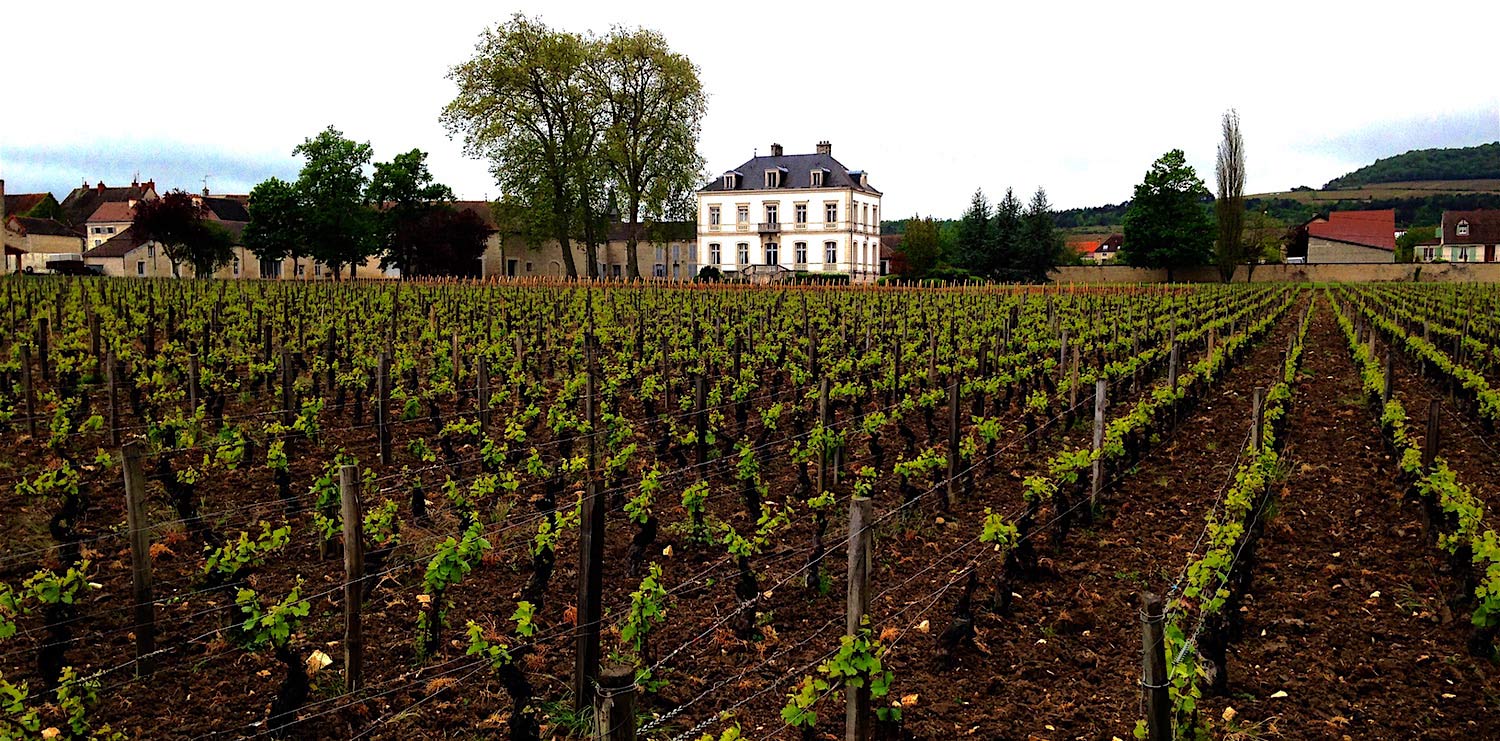 Domaine de Montille winery in Volnay, France