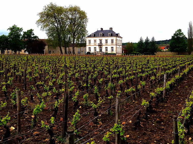 Domaine de Montille, Volnay, France