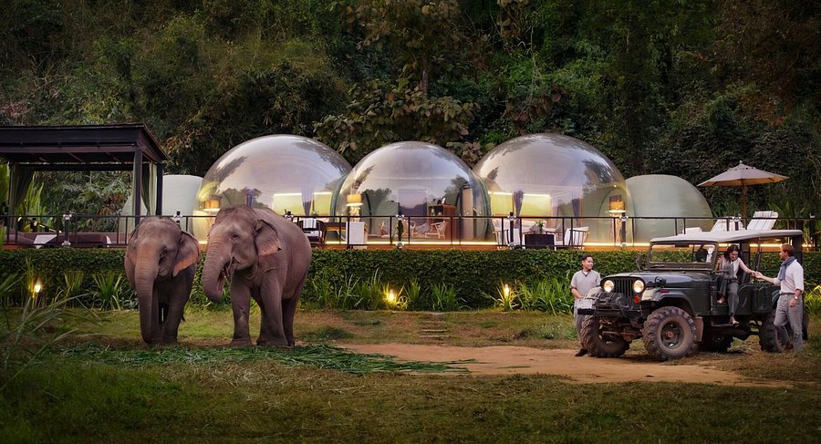 Anantara Golden Triangle Elephant Camp & Resort hotel in Chiang Rai, Thailand