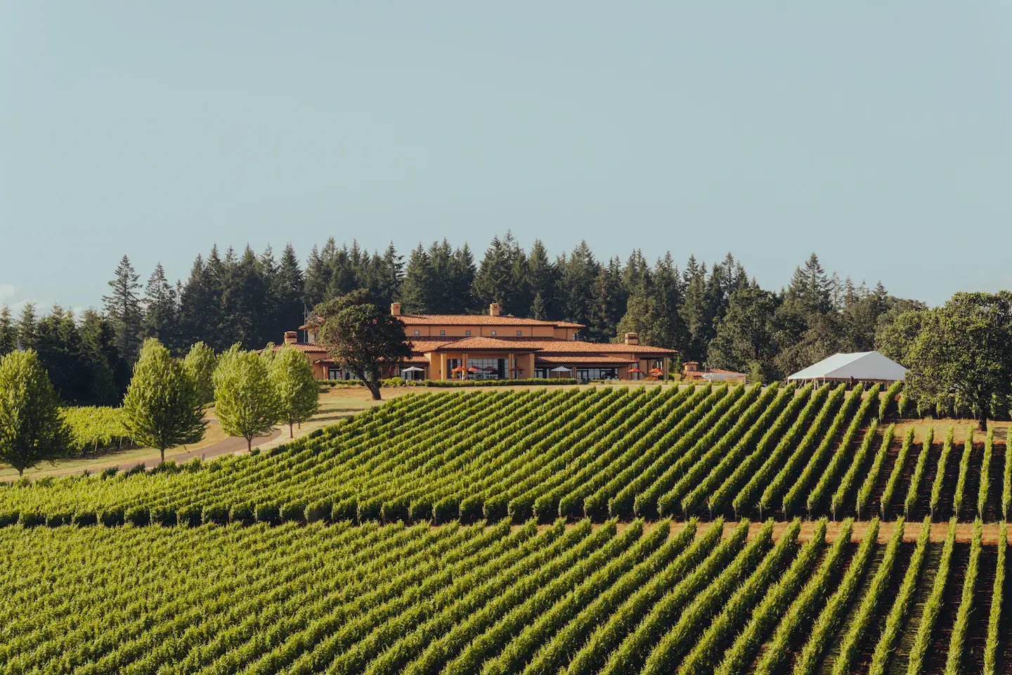 Domaine Serene Winery, Dayton, United States