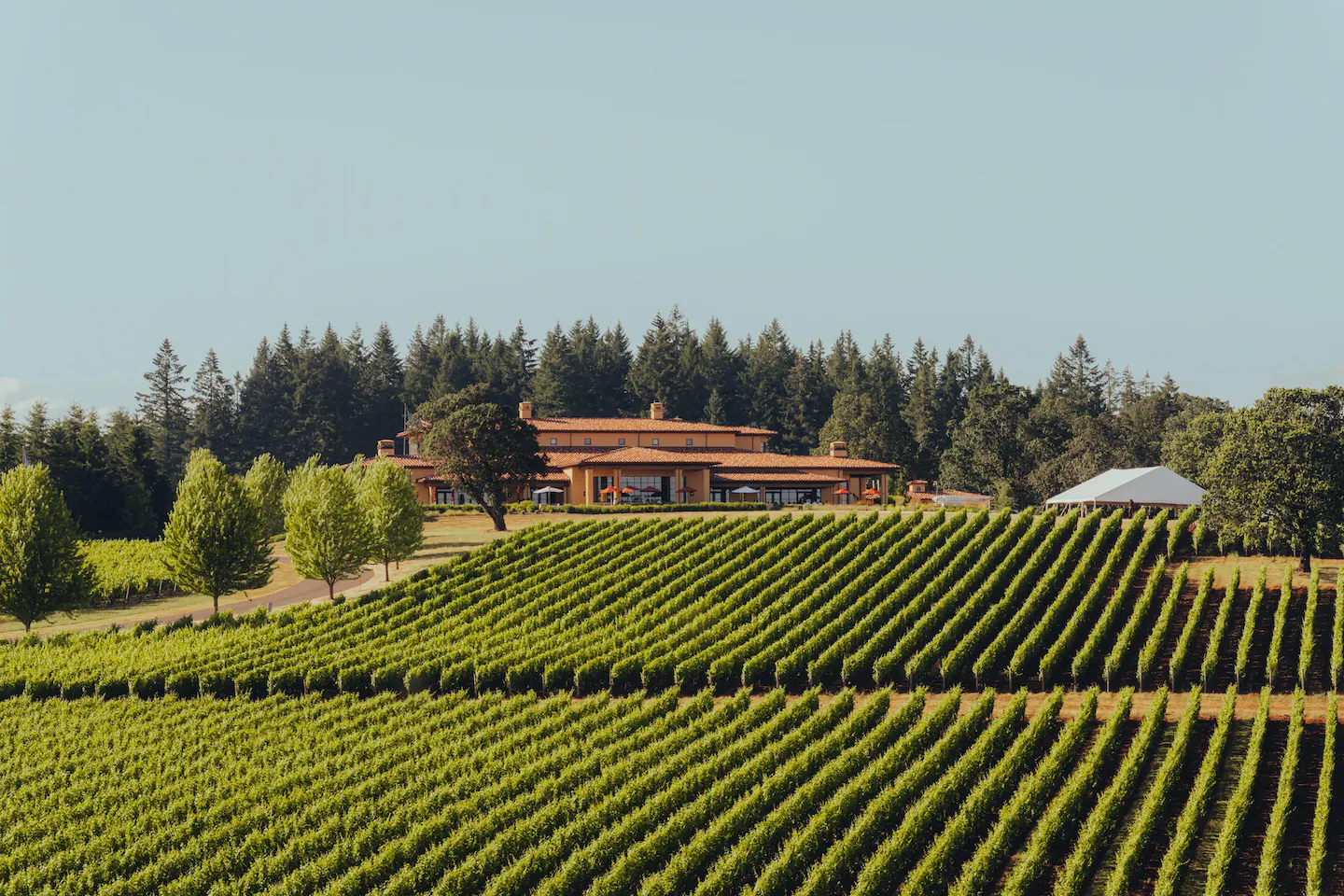 Domaine Serene Winery winery in Dayton, United States