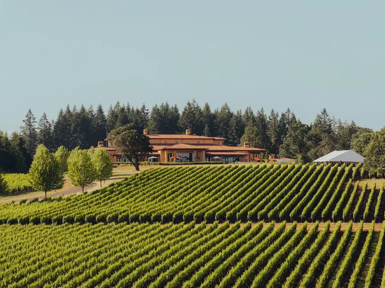 Domaine Serene Winery, Dayton, United States