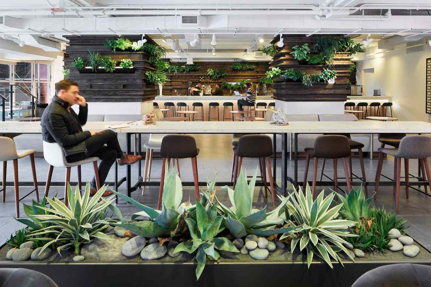 Assemblage restaurant in Mendoza, Argentina