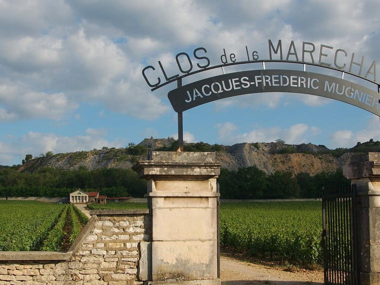 Domaine Jacques-Frédéric Mugnier, Premeaux-Prissey, France