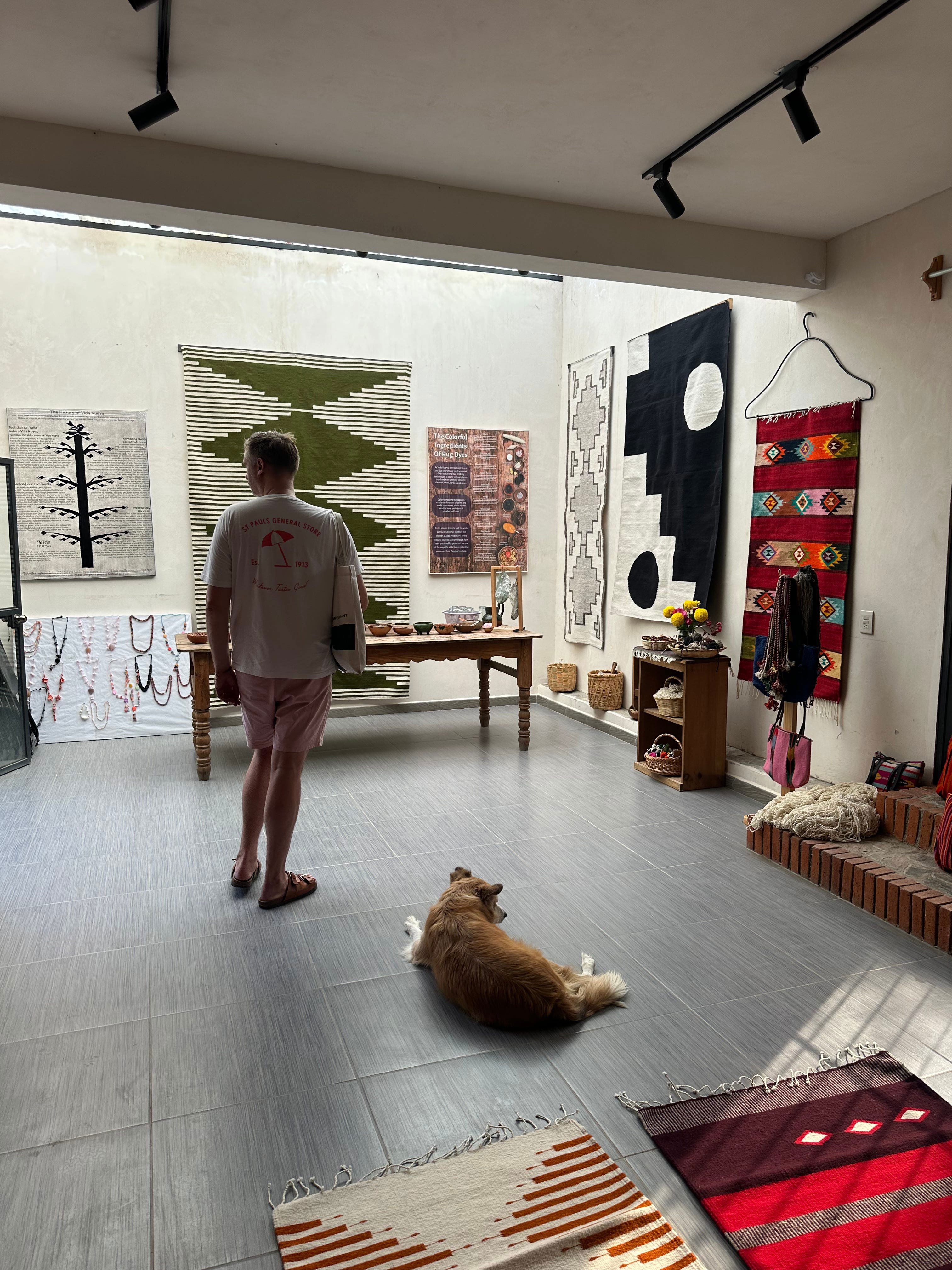 Teocintle-Tika'aya, Restaurant in Oaxaca