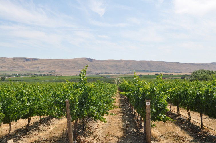 Betz Winery winery in Redmond