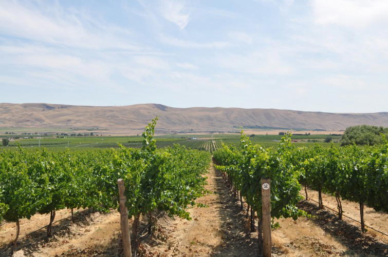 Betz Winery, Redmond, United States