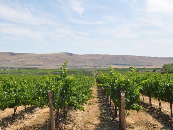 Betz Winery, Redmond, United States