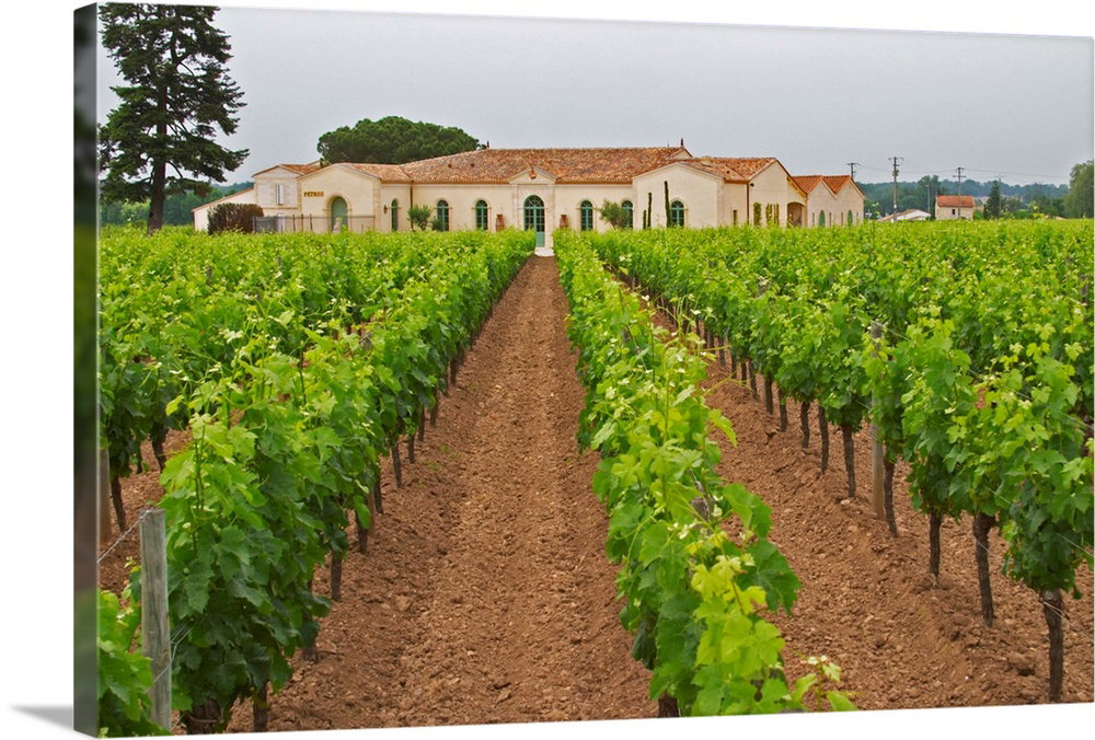 Chateau Petrus winery in Pomerol, France