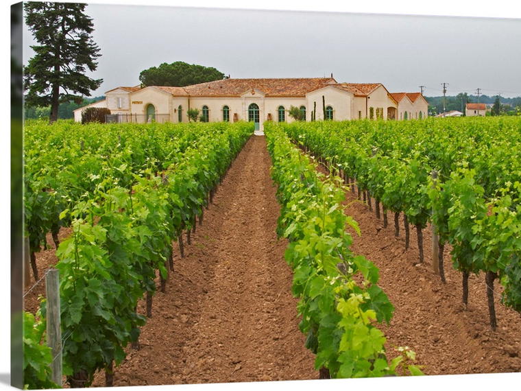 Chateau Petrus, Pomerol, France