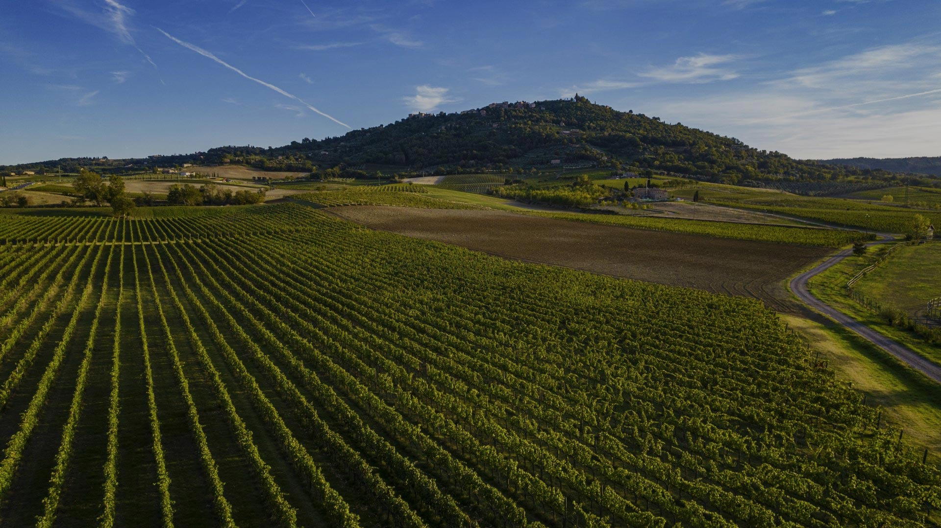 Valdicava Az Agr, Montalcino, Italy