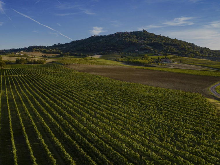 Valdicava Az Agr, Montalcino, Italy