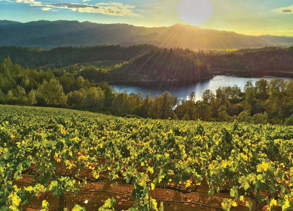 Burgess Cellars winery in Howell Mountain (Angwin area), United States