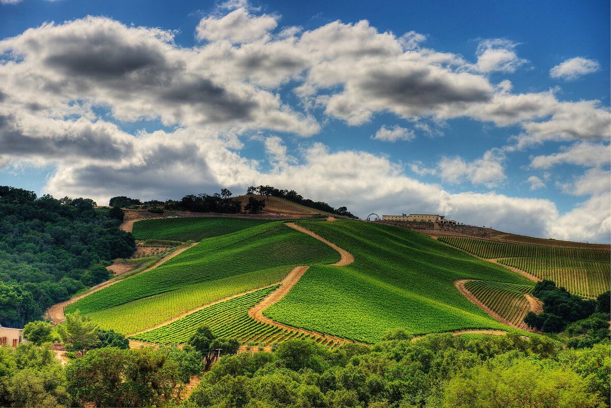 DAOU Vineyards, Paso Robles, United States