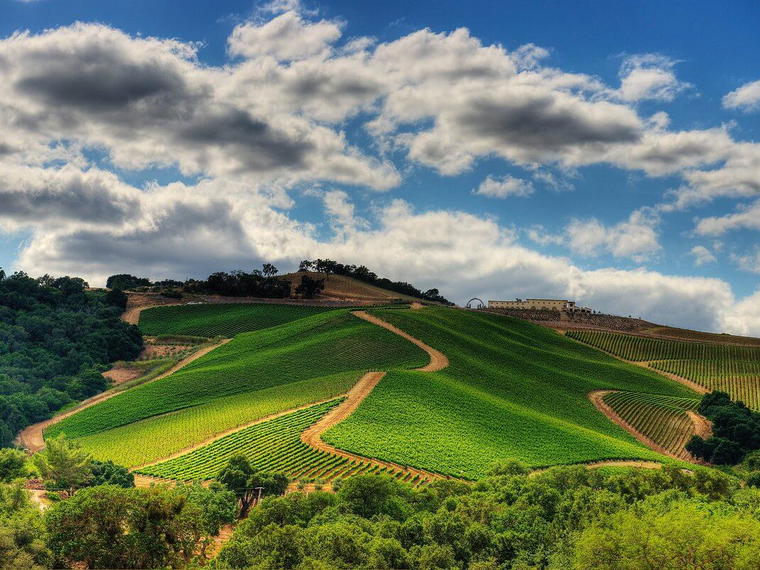 DAOU Vineyards, Paso Robles, United States