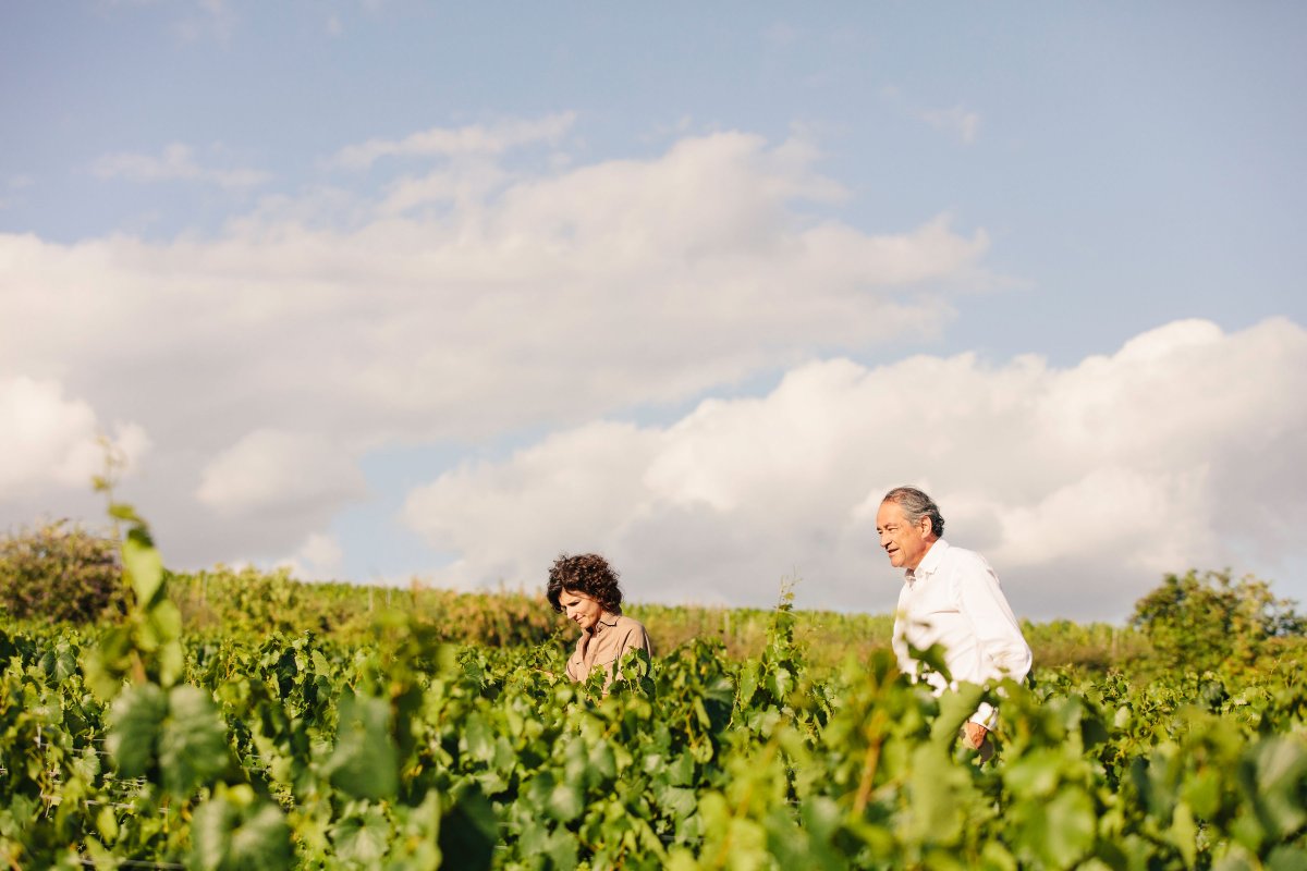 Bruno Paillard winery in Reims, France