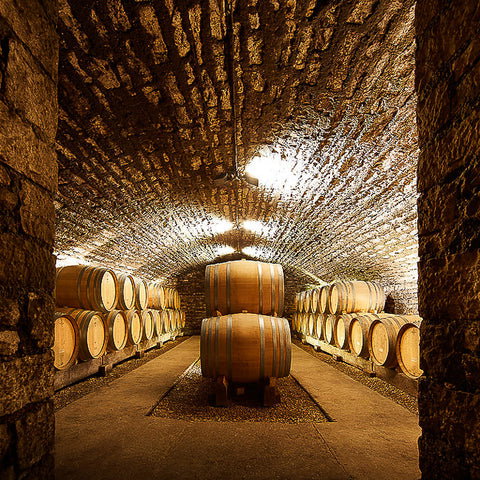 Domaine Jacques Prieur winery in Meursault, France