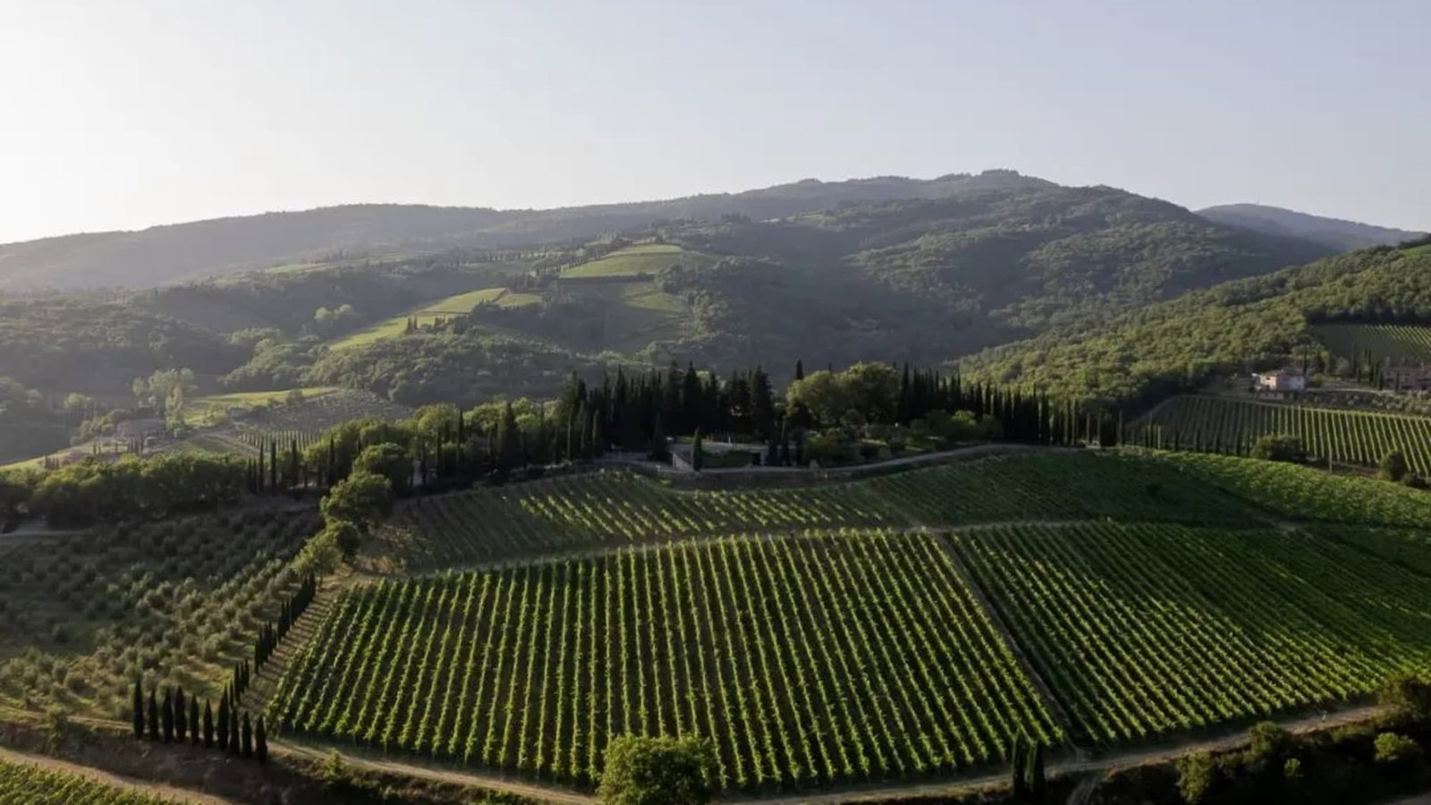 Montevertine, Radda in Chianti, Italy
