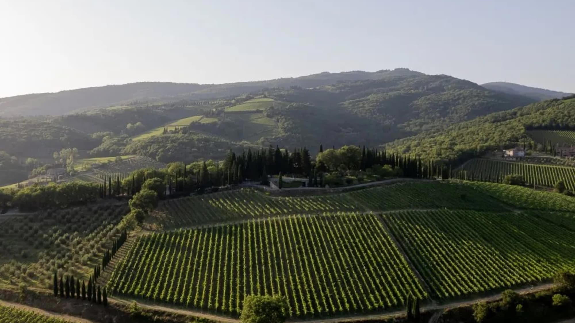 Montevertine winery in Radda in Chianti