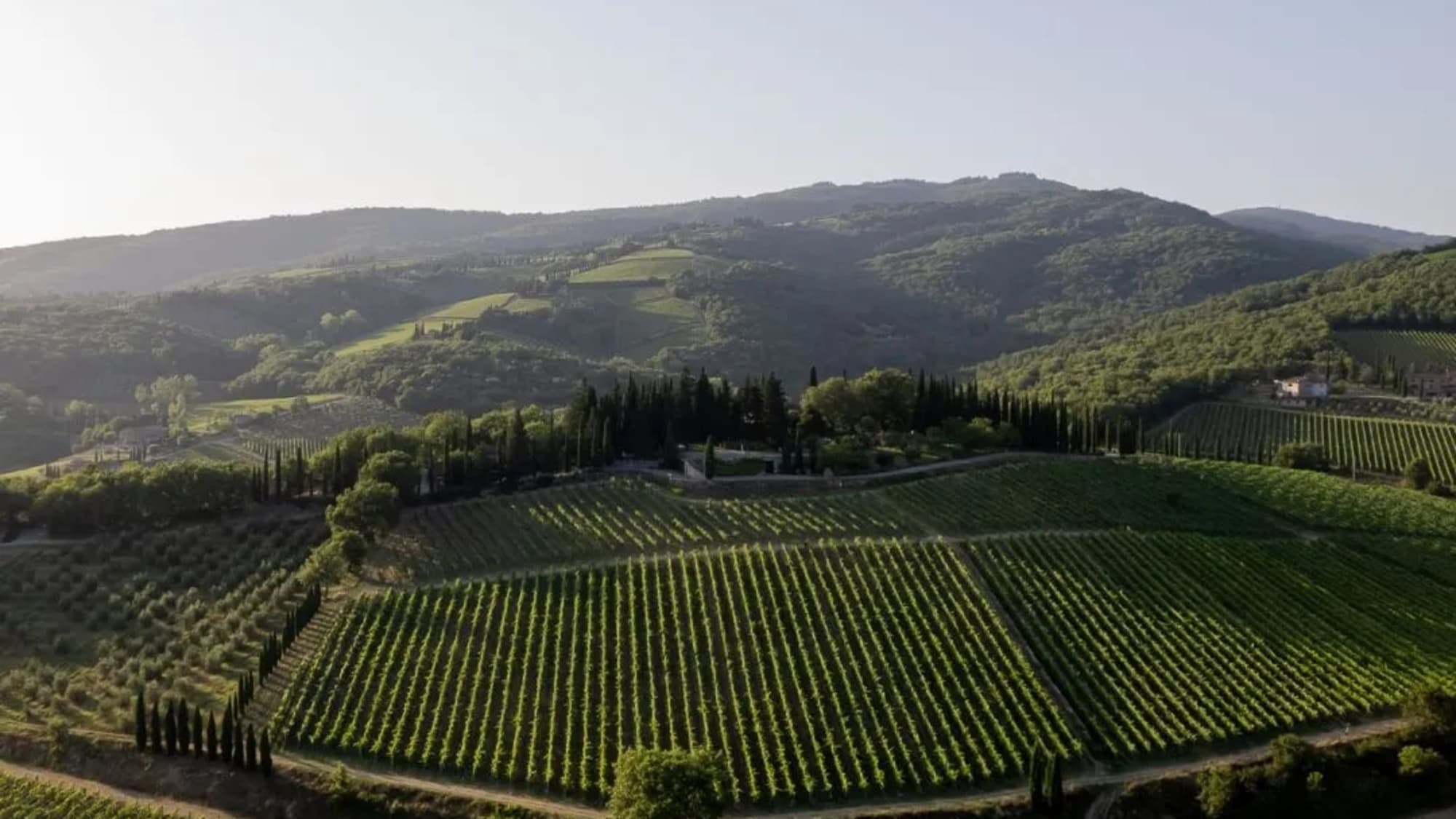 Montevertine