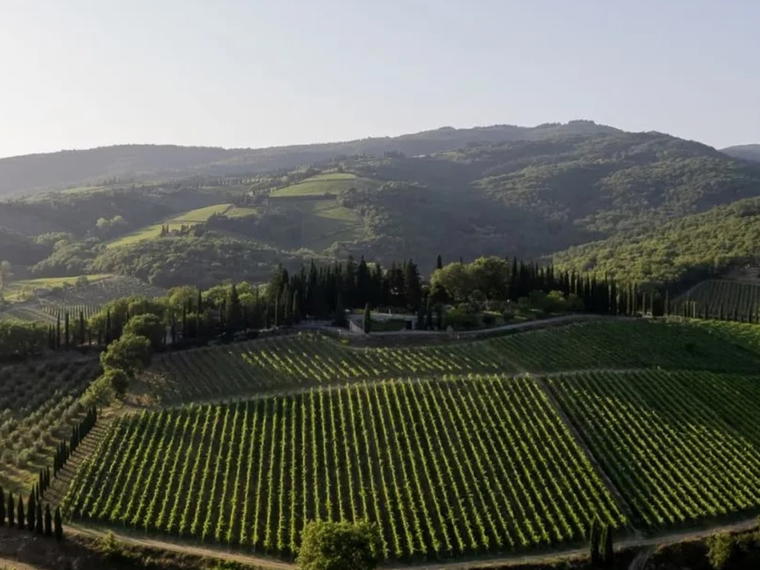Montevertine, Radda in Chianti, Italy