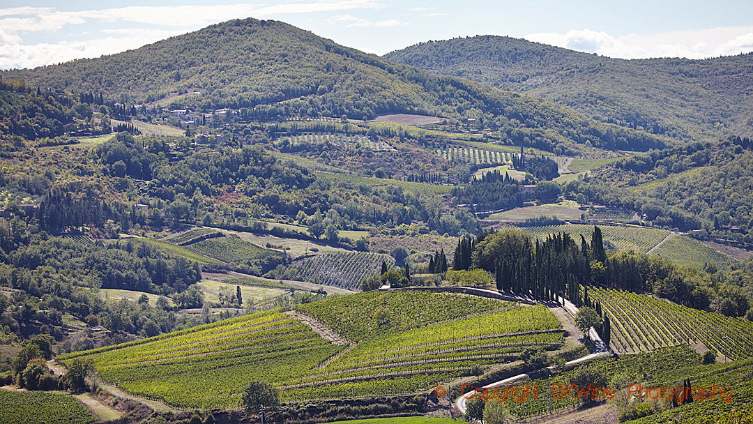 Montevertine, Winery in Radda in Chianti