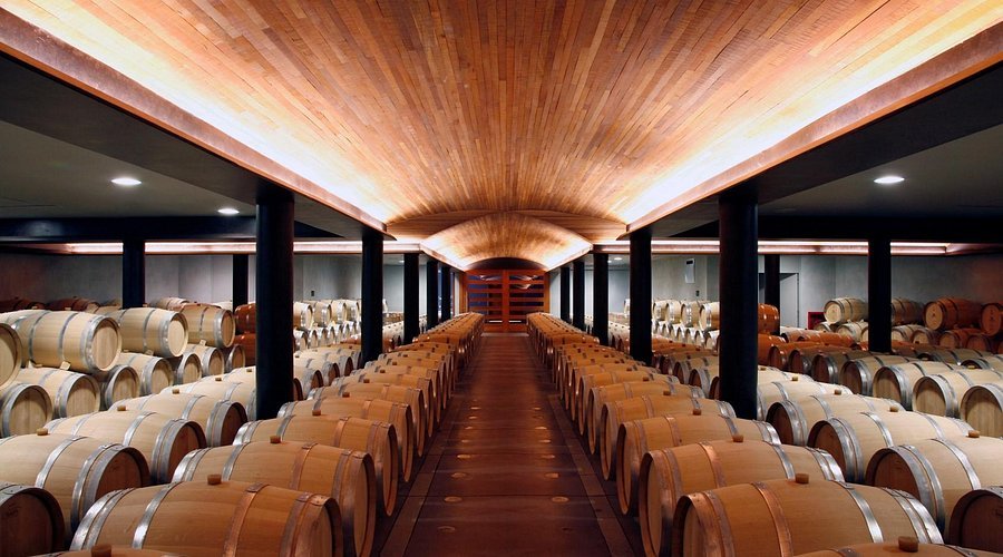 Clos Apalta Residence restaurant in Valle de Apalta, Chile