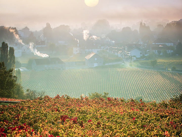 Domaine de la Vougeraie, Premeaux-Prissey, France