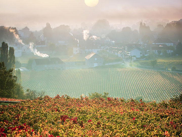 Domaine de la Vougeraie, Premeaux-Prissey, France