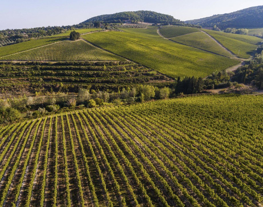 Tenuta Tignanello