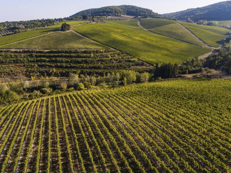 Tenuta Tignanello, San Casciano in Val di Pesa, Italy