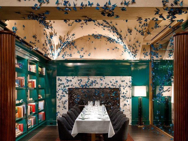 Mujō, Atlanta, United States