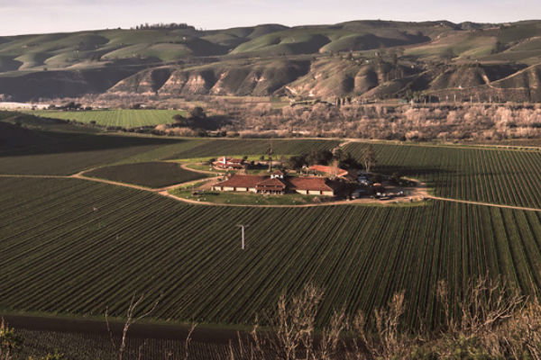 Sanford Winery