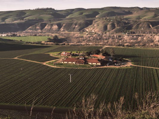Sanford Winery, Lompoc, United States