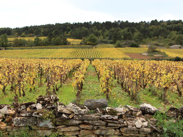 Domaine Jean-Noël Gagnard, Puligny-Montrachet, France