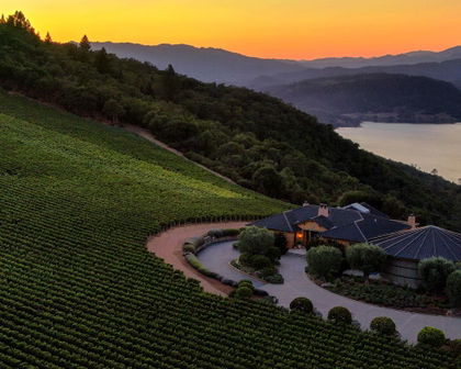 Colgin Cellars