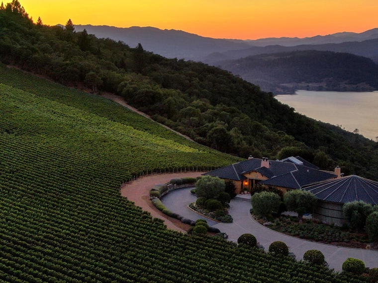 Colgin Cellars, St. Helena, United States