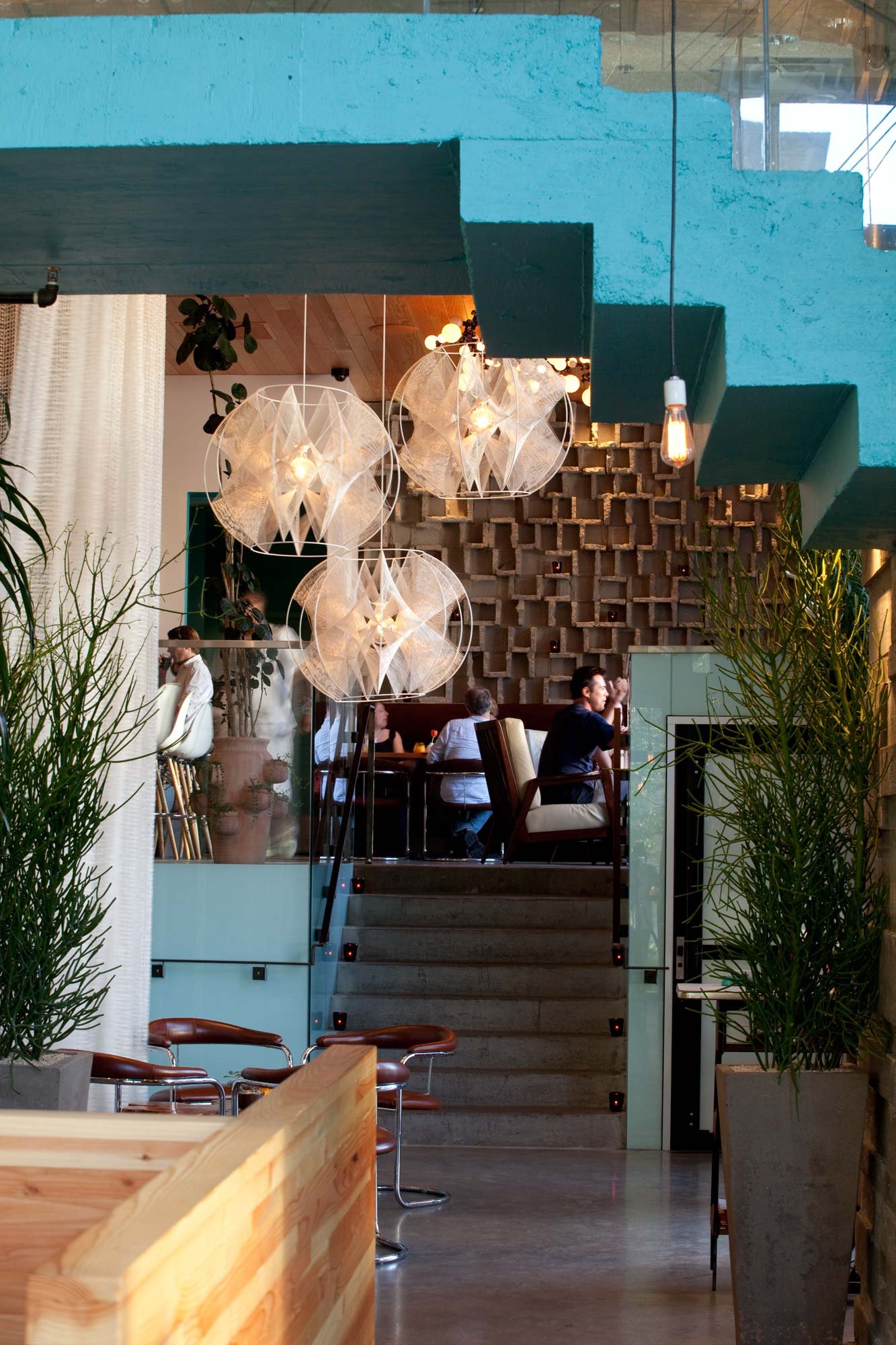 La Condesa restaurant in Austin, United States