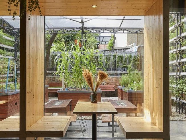 Haoma, Bangkok, Thailand