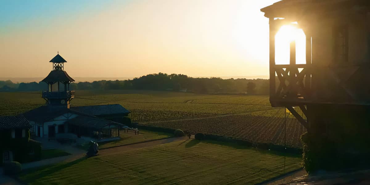 Sunlit vineyards at Château Smith Haut Lafitte near Les Sources de Caudalie