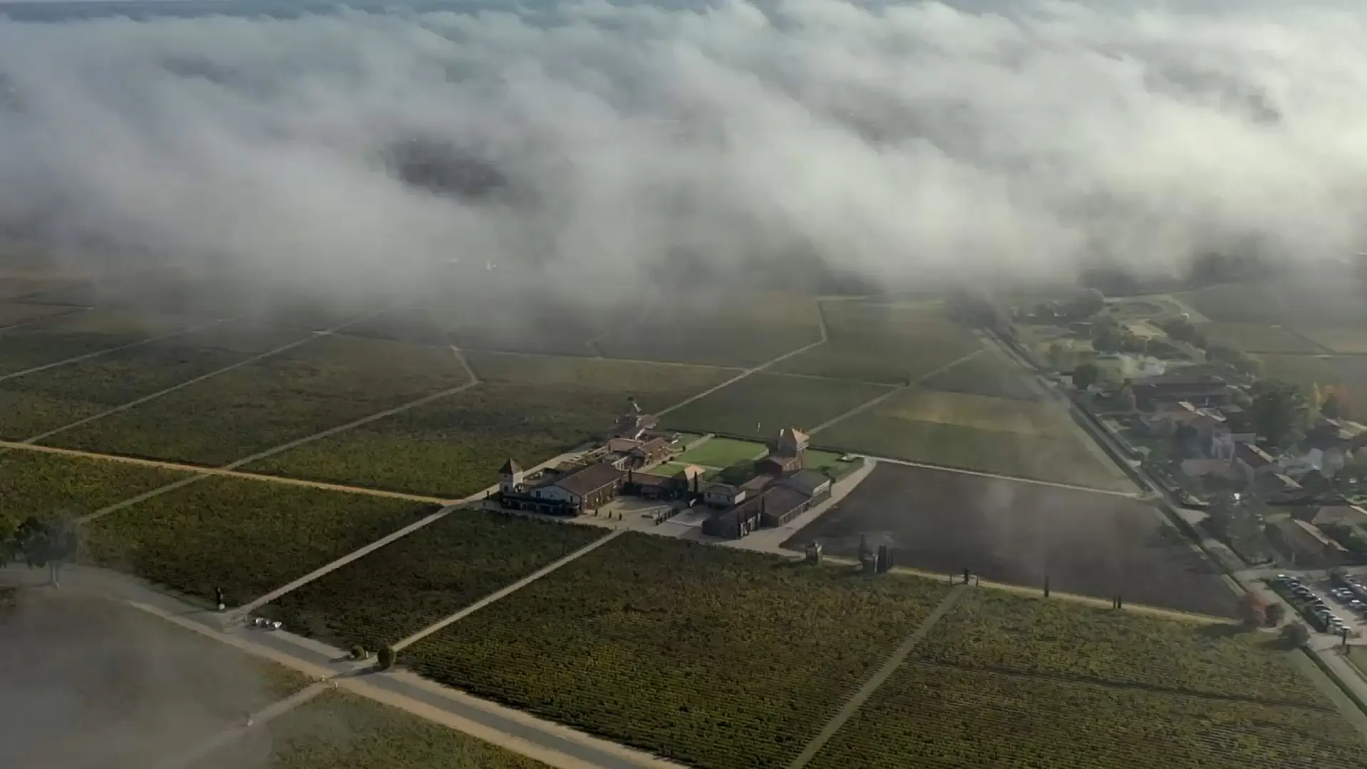 Château Smith Haut Lafitte