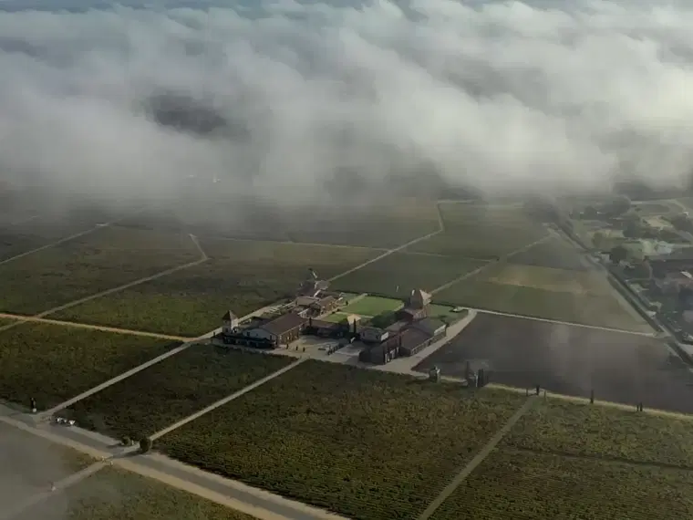 Château Smith Haut Lafitte, Martillac, France
