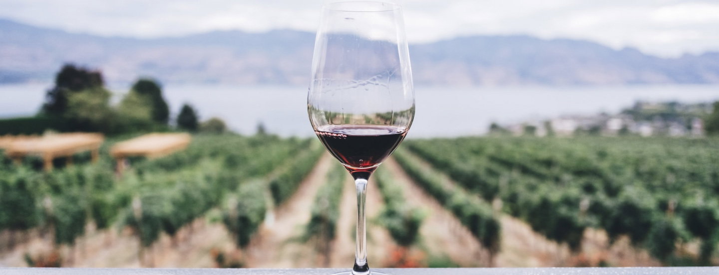 Domaine du Cayron winery in Gigondas, France