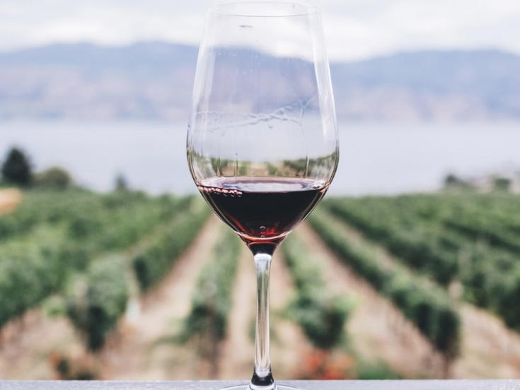 Domaine du Cayron, Gigondas, France