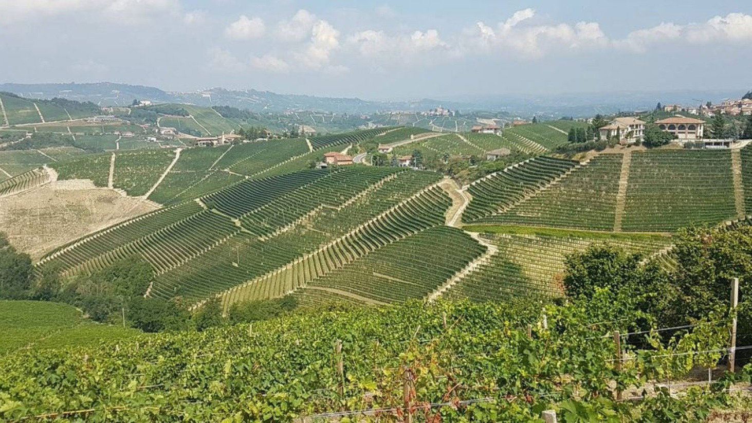 Bruno Giacosa