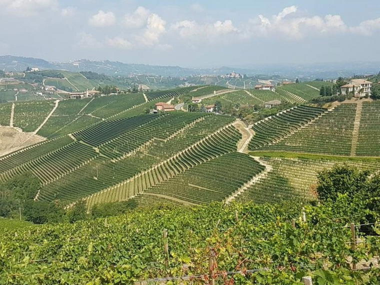 Bruno Giacosa, Neive, Italy