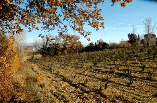 Domaine de la Vieille Julienne winery in Orange