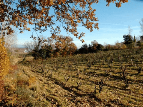 Domaine de la Vieille Julienne, Orange, France