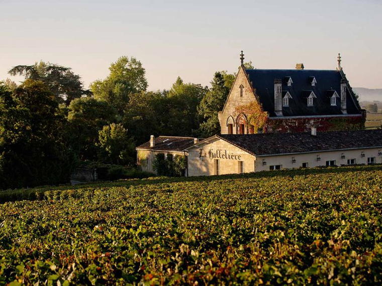 Château La Gaffelière, Talence, France
